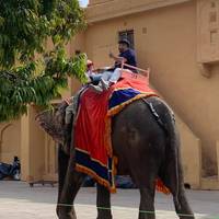 Circuito privado de 5 días al Triángulo de Oro de la India desde Nueva Delhi: foto del viajero #2