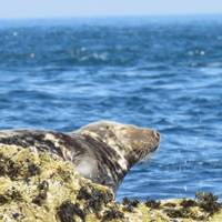 Rondreis door Cornwall – vanuit Londen: foto van de reiziger #2