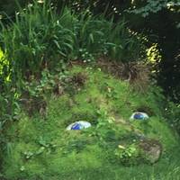 Circuito por Cornualles con salida en Londres: foto del viajero #3