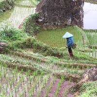 De essentie van Vietnam – 18 dagen: foto van de reiziger #3