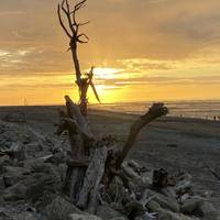 Photo de voyageur Explorateur de la Nouvelle- Zélande #3