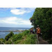 2 day South African Wildlife Safari Highlights Tour from Cape Town traveler photo #3