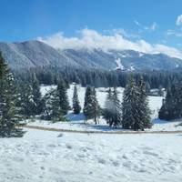 Transsylvanien Entdeckungsreise ab Flughafen Bukarest Reise-Foto #2