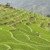 Indochina: Vietnam, Kambodscha & Thailand Privatreise - 10 Tage Reise-Foto #3