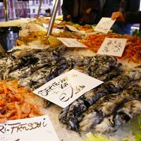 Italian Treasures traveler photo #3