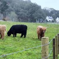 Aonghus Youth (19 bestemmingen): foto van de reiziger #2