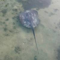 Photo de voyageur Rencontre avec les Mayas #3