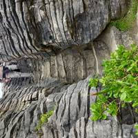 Espectacular del Sur (2025/2026): foto del viajero #3