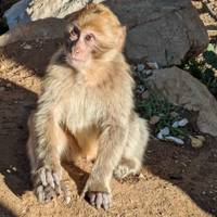 Marokkaanse droom – 4* hotels: foto van de reiziger #3