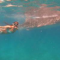 16 Tage Philippinen Abenteuer mit Expedition von El Nido zur Insel Coron (Unabhängige Tour) Reise-Foto #1