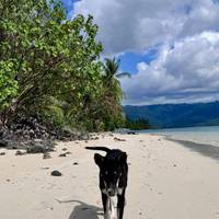 16 Tage Philippinen Abenteuer mit Expedition von El Nido zur Insel Coron (Unabhängige Tour) Reise-Foto #2