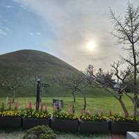 Photo de voyageur 2026 Arrivée en Corée avec l