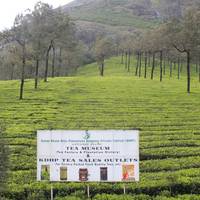 Essence of  Idyllic South India traveler photo #1