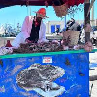 Circuito privado de 11 días desde casablanca: foto del viajero #3