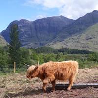 De Highlands: foto van de reiziger #2