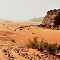 Photo de voyageur Circuit de 7 jours et 6 nuits à la découverte de la Jordanie (CT-JHT-014) #2