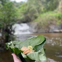 Photo de voyageur Aventure en Tuk Tuk avec chauffeur à Chiang Mai - 5 jours #3