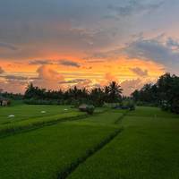 De beste luxe 8-daagse self-drive Bali 4* hotels: foto van de reiziger #3