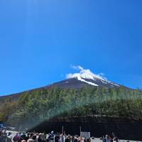 Lo Mejor de Japón: De Tokio a Osaka (Con Guía Privada, Hoteles de 4 estrellas): foto del viajero #2