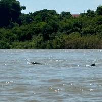Photo de voyageur Cambodge : randonnée, vélo et kayak #1