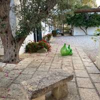 Ontdekkingsreis naar Matera & de smaak van Salento: foto van de reiziger #1