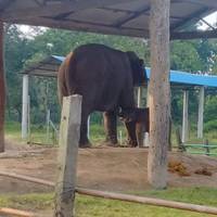 Photo de voyageur Visite des sites du patrimoine mondial de l