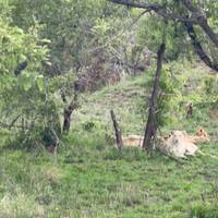 Cape Town, Kruger And Victoria Falls traveler photo #1
