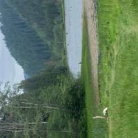 Rumänien UNESCO Privatreise - 7 Tage Reise-Foto #3