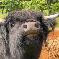 Grote rondreis door Groot-Brittannië & Ierland: foto van de reiziger #2