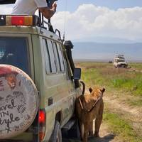 Tansania: Safari mit Unterkunft - 4 Tage Reise-Foto #1