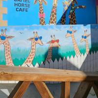 De Tuinroute & Addo - een avonturenreis in kleine groep - enkele reis - 5 dagen: foto van de reiziger #2