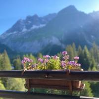 Tour du Mont Blanc - zelfgeleid - 12 dagen: foto van de reiziger #2