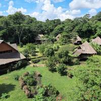 Photo de voyageur Tambopata Macaw Clay Lick &amp; Sandoval Lake 5 jours/4 nuits #3