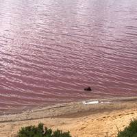 Costa oeste de Australia y arrecife Ningaloo - circuito de 8 días - VTBW: foto del viajero #2