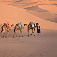 Excursión de 7 días de Casablanca a Marrakech (Grupo): foto del viajero #1