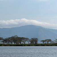 Photo de voyageur Journeys : Safari en Tanzanie National Geographic Journeys #2