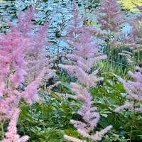 Amazing Britain (Geen overnachtingen in Londen): foto van de reiziger #3