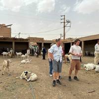 Marokko rondreis 8 dagen vanuit Casablanca: foto van de reiziger #1