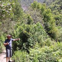 Marokko rondreis 8 dagen vanuit Casablanca: foto van de reiziger #3