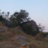 3 Days Group Camping Safari Tour Tanzania traveler photo #3