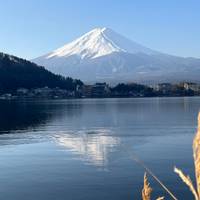 Best Japan Family Tours with Daily Start, No Group traveler photo #1