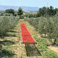 Tirana naar Dubrovnik / Split; Semi - Privé Tour met Toegewijde Reisleider &amp; Auto: foto van de reiziger #3