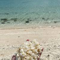 Perth nach Exmouth Explorer & Ningaloo Reef 7 Tage Reise-Foto #2