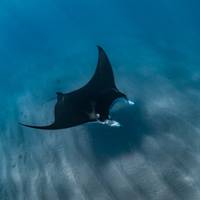 Perth nach Exmouth Explorer & Ningaloo Reef 7 Tage Reise-Foto #3