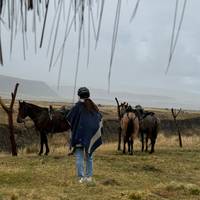 Full Day Cotopaxi exploration on Horseback riding - Shared Group traveler photo #1