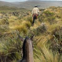 Full Day Cotopaxi exploration on Horseback riding - Shared Group traveler photo #2