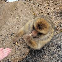 Marokko 9-daagse Rondreis vanuit Marrakech: foto van de reiziger #2