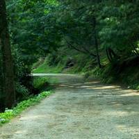 Verken Islamabadagen, Murree & Nathiagali: foto van de reiziger #2