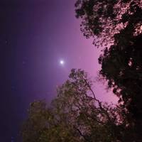 3 Tage Kakadu & Litchfield Soft Abenteuer Camping) Reise-Foto #1