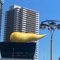 Schitterend Japan – deluxe – met Nagoya – 4* hotels – 9 dagen: foto van de reiziger #2